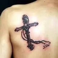 6686体育平台签约作者Maximus