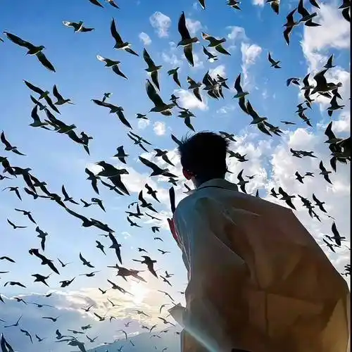 6686体育平台首席作者十里温柔