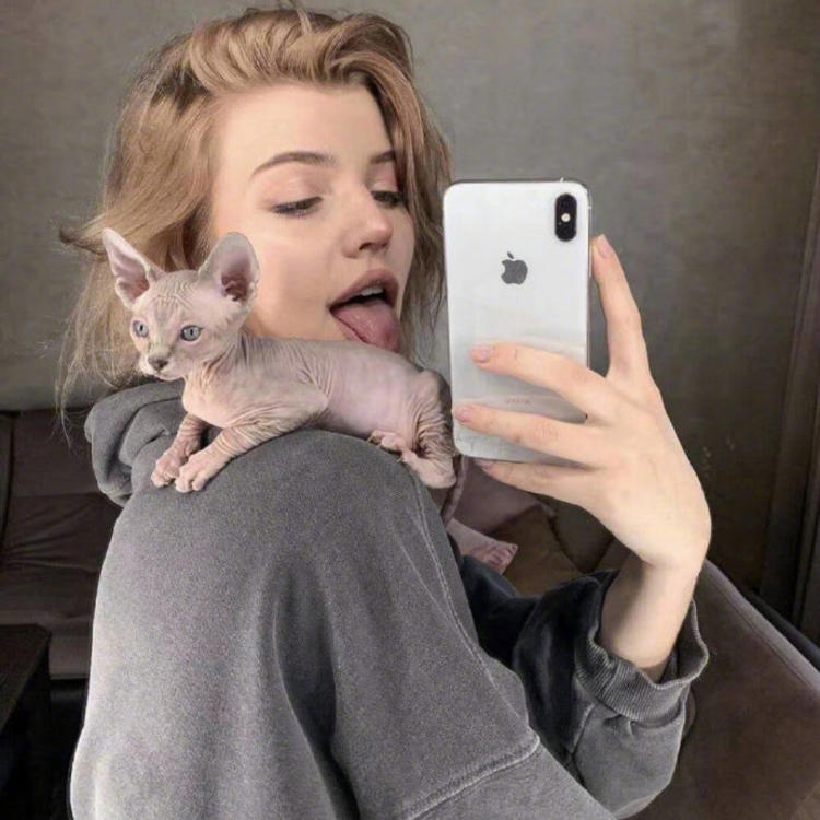 6686体育平台铁牌作者Evan