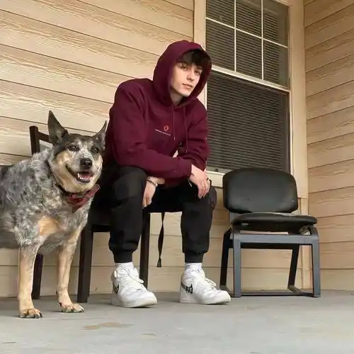 6686体育平台钻石作者Gale