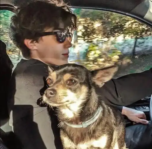 6686体育平台签约作者Benjamin