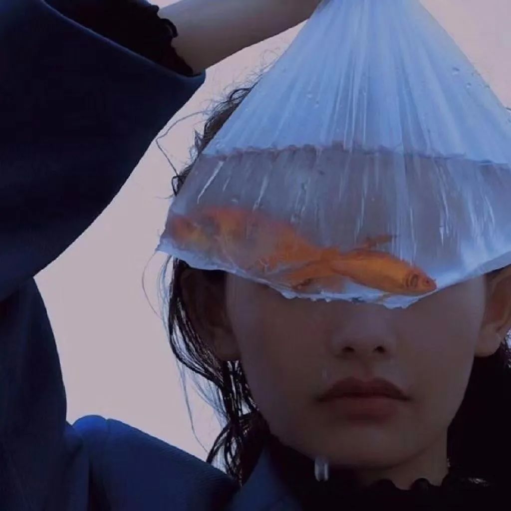 6686体育平台特邀作者Eileen