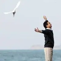 6686体育平台铁牌作者Paul