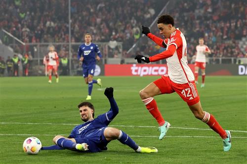 拜仁慕尼黑 vs TSG 霍芬海姆